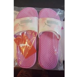 PUMA Slides